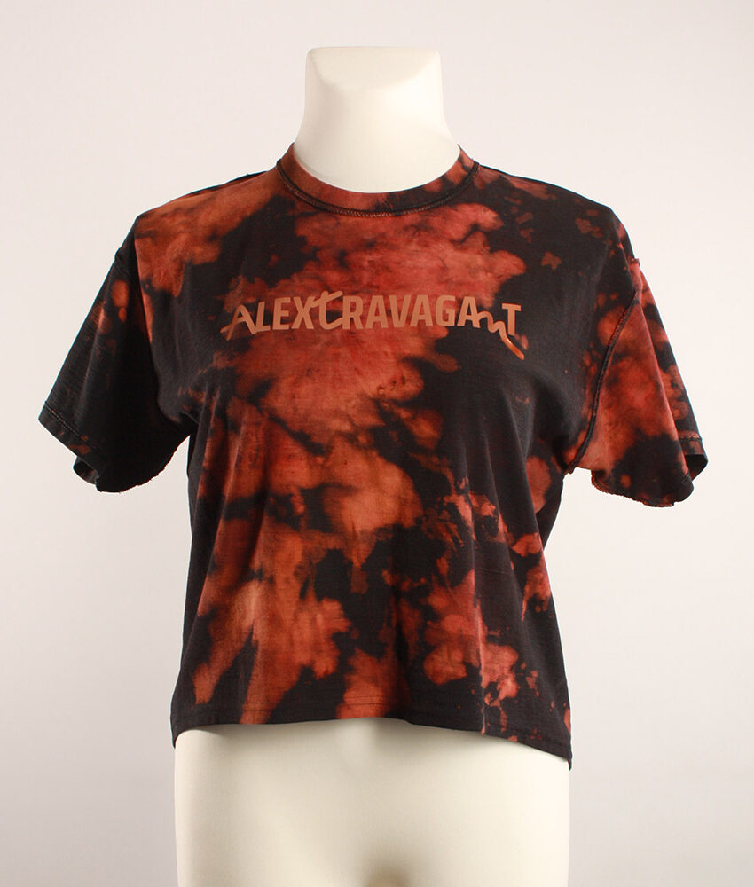 Fancy Upcycling Crop Top aus Second-Hand Band Merchandise mit Alextravagant Logo Print vorne und sexy Herzausbrenner im Rücken