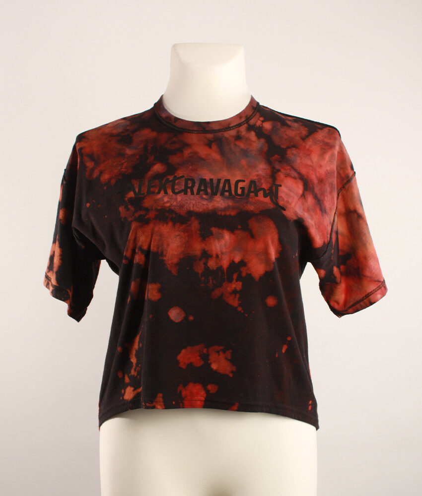 Fancy Upcycling Crop Top aus Second-Hand Band Merchandise mit Alextravagant Logo Print vorne und schwarz-transparenten Herzausbrenner im Rücken