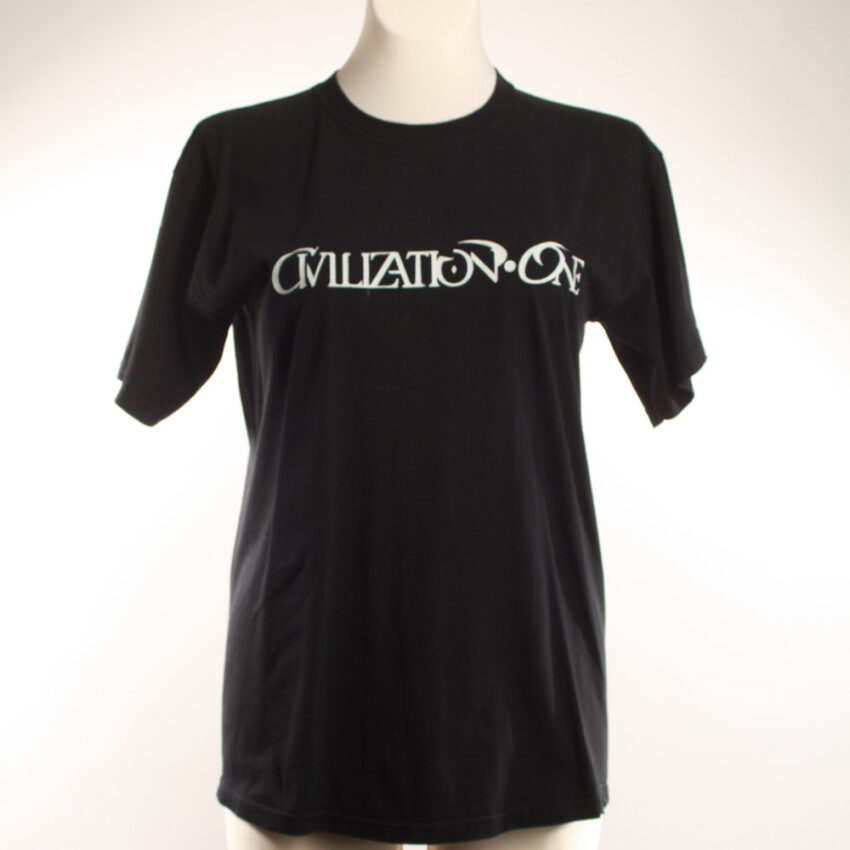 Alextravagant_T-Shirt-Chamaeleon-gelb-schwarz(M)_1 Upcycling T-Shirt aus Second Hand Merchandise mit Chamäleon Stempeldruck von Künstlerin Maren Daniels