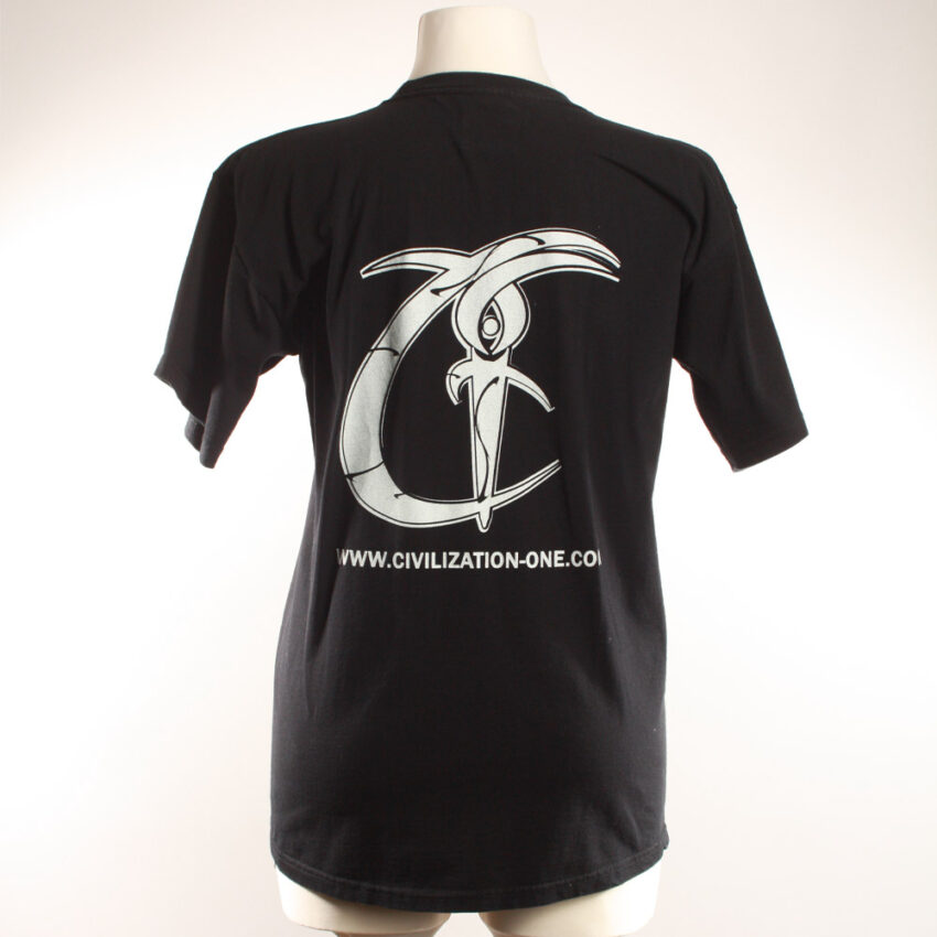 Alextravagant_T-Shirt-Chamaeleon-gelb-schwarz(M)_3 Upcycling T-Shirt aus Second Hand Merchandise mit Chamäleon Stempeldruck von Künstlerin Maren Daniels