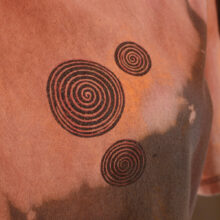 Alextravagant_T-Shirt-Regenbogenfisch-orange-pfirsich-glitzer-grau_5 Upcycling T-Shirt aus Second Hand Merchandise mit Suedseefisch Stempeldruck von Künstlerin Maren Daniels